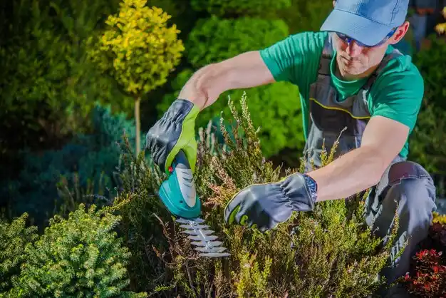 landscaping services Sixteen Mile Stand